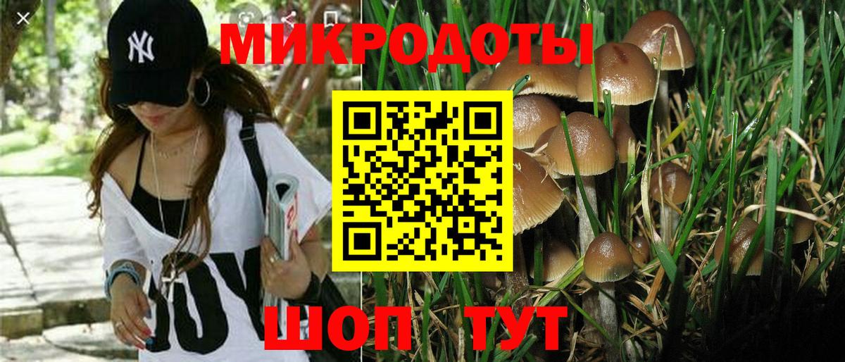 Псилоцибиновые грибы прущие грибы Егорьевск