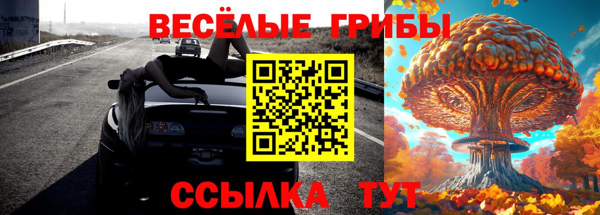 Галлюциногенные грибы ЛСД  Вход с VPN  Галлюциногенные грибы GOLDEN TEACHER  Егорьевск 